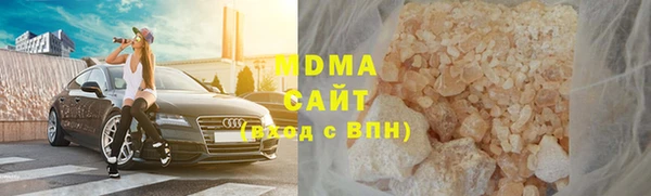 индика Алексин
