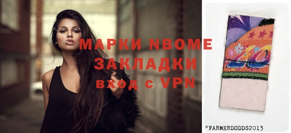 индика Алексин