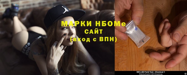 индика Алексин