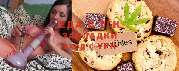 индика Алексин